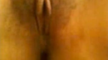 Exotic Tits.