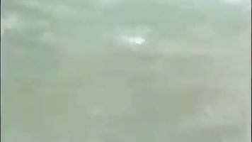 ছাত্র ছাত্রীরা পিকনিকে মজা করছে